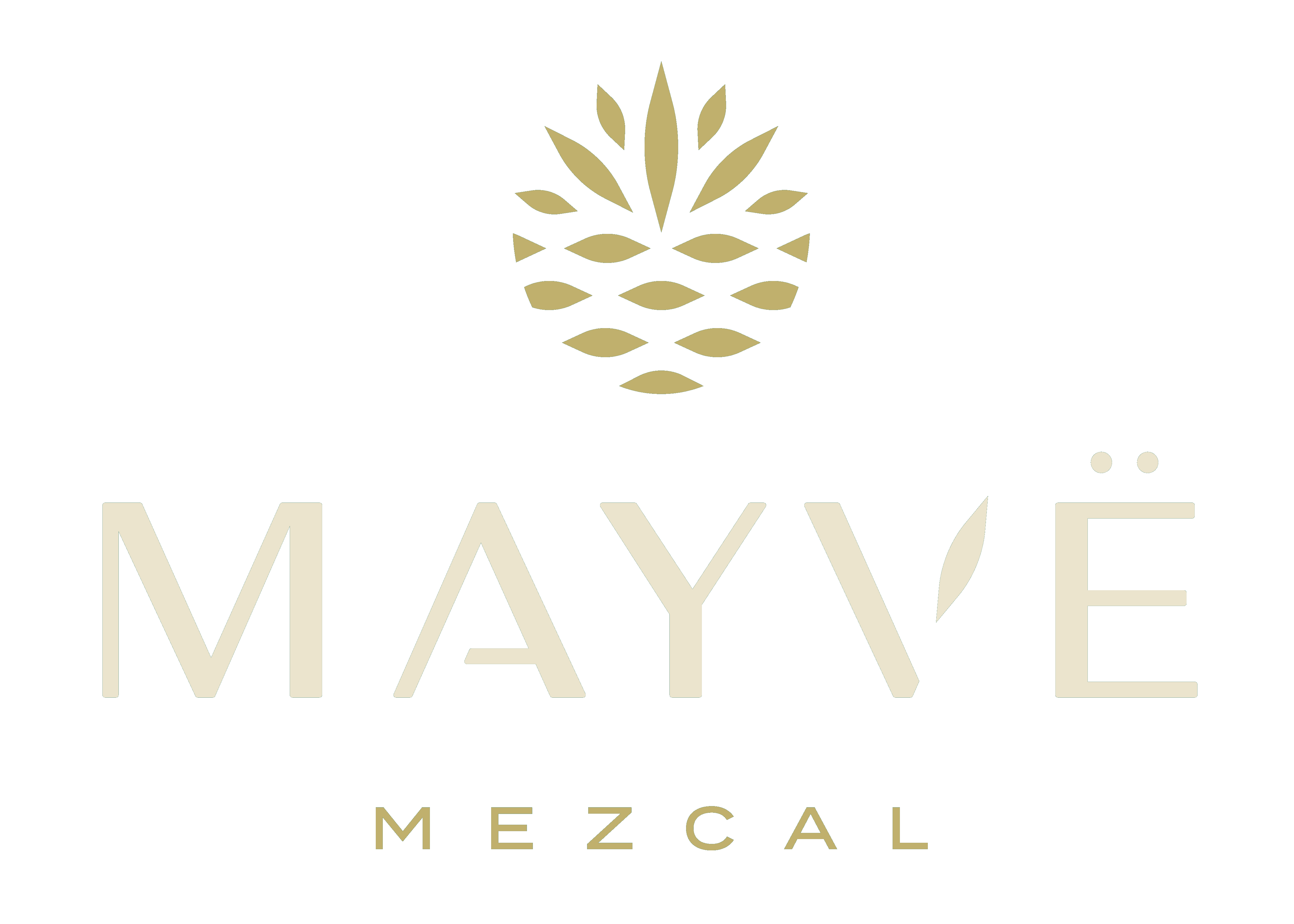 Mayvë